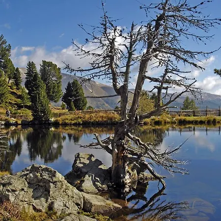 M Cichini ميلستاف