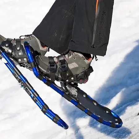 M Cichini * ميلستاف