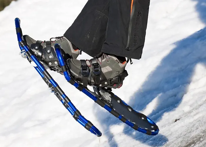 M Cichini * Millstatt